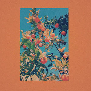 Meet your Posher, Faviola